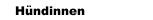 Hündinnen